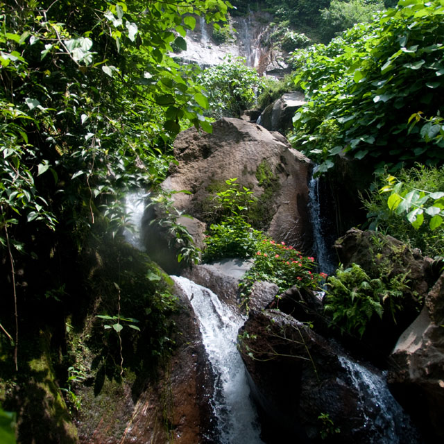 El Salvador & Roatán