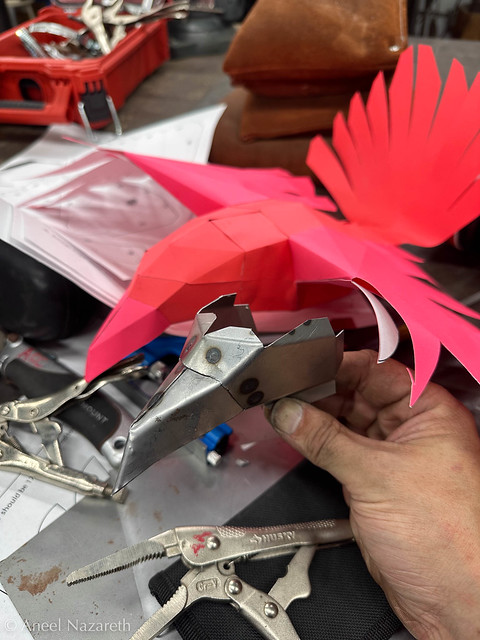 Beak and face