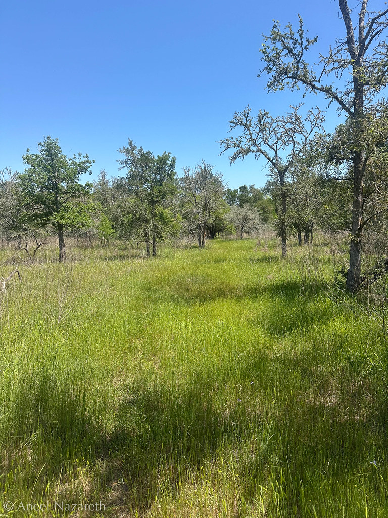 Lake Somerville State Park