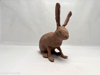Hare