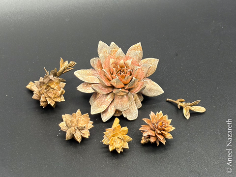 The large succulent casting and several smaller similar castings